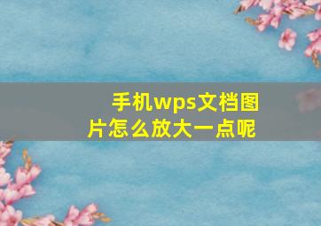 手机wps文档图片怎么放大一点呢