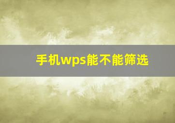 手机wps能不能筛选