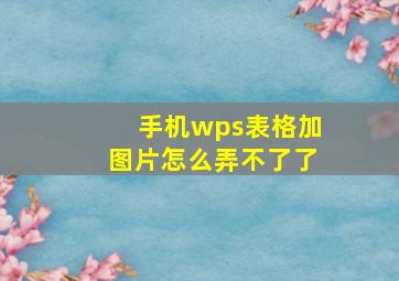 手机wps表格加图片怎么弄不了了