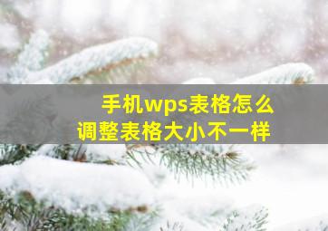 手机wps表格怎么调整表格大小不一样