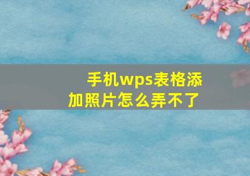 手机wps表格添加照片怎么弄不了