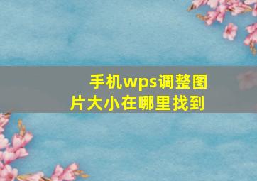 手机wps调整图片大小在哪里找到