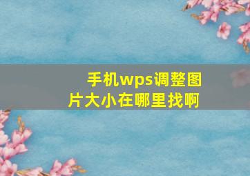 手机wps调整图片大小在哪里找啊