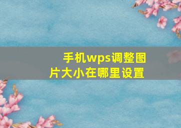 手机wps调整图片大小在哪里设置