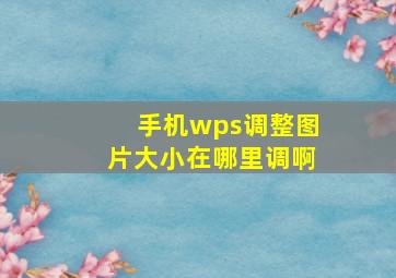 手机wps调整图片大小在哪里调啊