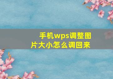 手机wps调整图片大小怎么调回来