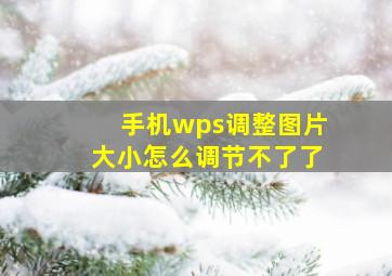 手机wps调整图片大小怎么调节不了了