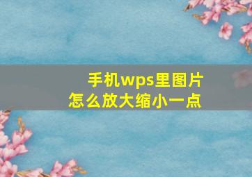 手机wps里图片怎么放大缩小一点