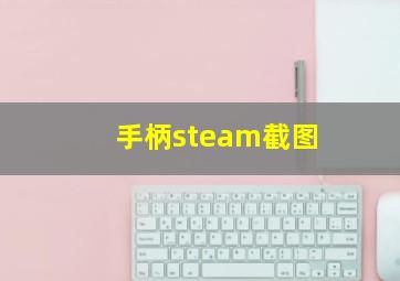 手柄steam截图