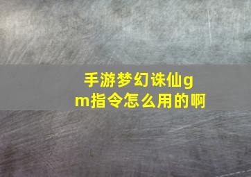 手游梦幻诛仙gm指令怎么用的啊