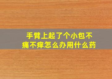 手臂上起了个小包不痛不痒怎么办用什么药