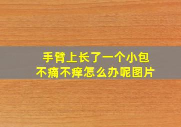 手臂上长了一个小包不痛不痒怎么办呢图片