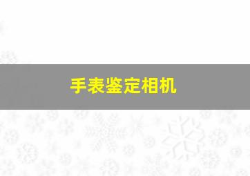 手表鉴定相机