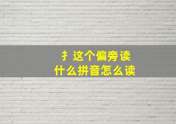 扌这个偏旁读什么拼音怎么读