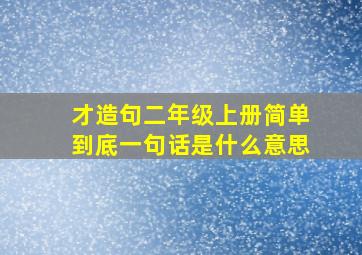 才造句二年级上册简单到底一句话是什么意思