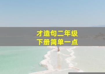 才造句二年级下册简单一点