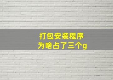 打包安装程序为啥占了三个g