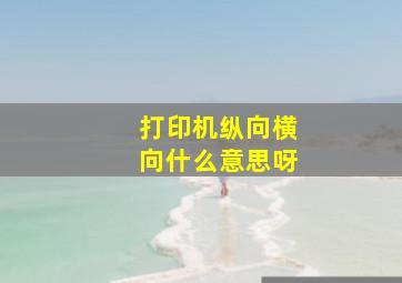 打印机纵向横向什么意思呀