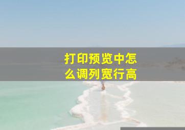 打印预览中怎么调列宽行高