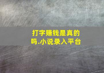 打字赚钱是真的吗.小说录入平台