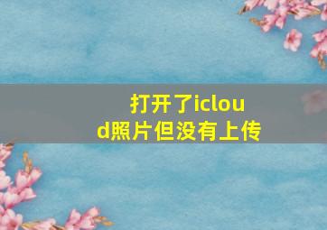 打开了icloud照片但没有上传