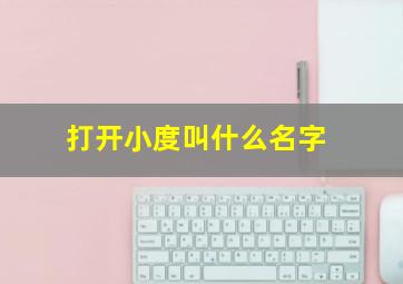 打开小度叫什么名字