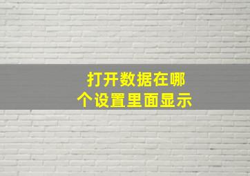 打开数据在哪个设置里面显示