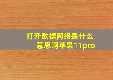 打开数据网络是什么意思啊苹果11pro