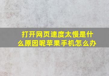 打开网页速度太慢是什么原因呢苹果手机怎么办