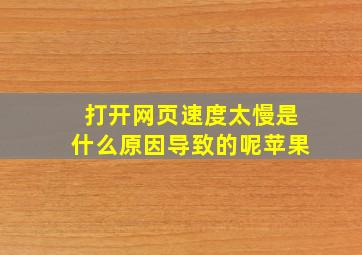 打开网页速度太慢是什么原因导致的呢苹果