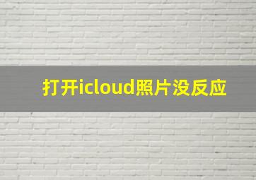 打开icloud照片没反应