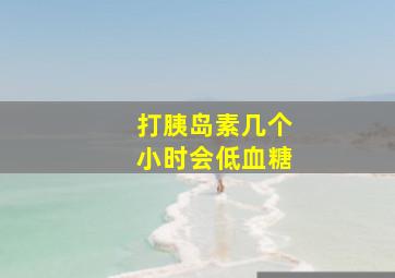 打胰岛素几个小时会低血糖