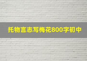 托物言志写梅花800字初中