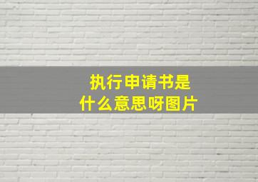 执行申请书是什么意思呀图片