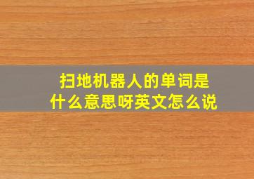 扫地机器人的单词是什么意思呀英文怎么说