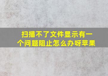 扫描不了文件显示有一个问题阻止怎么办呀苹果