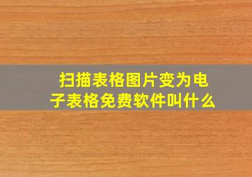 扫描表格图片变为电子表格免费软件叫什么