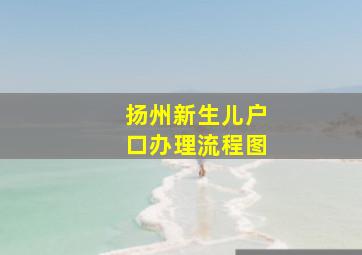 扬州新生儿户口办理流程图