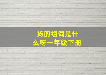 扬的组词是什么呀一年级下册