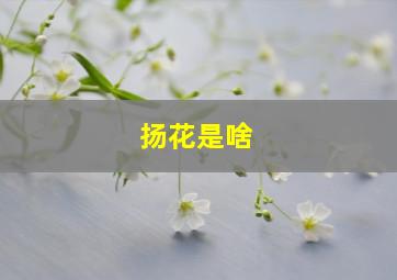 扬花是啥