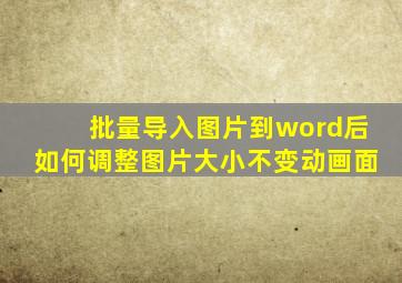 批量导入图片到word后如何调整图片大小不变动画面