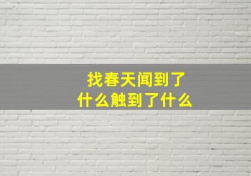 找春天闻到了什么触到了什么