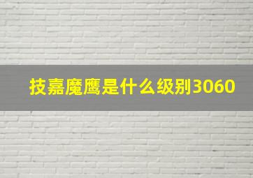 技嘉魔鹰是什么级别3060