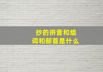 抄的拼音和组词和部首是什么