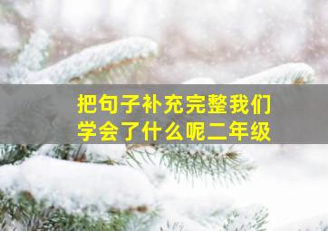 把句子补充完整我们学会了什么呢二年级