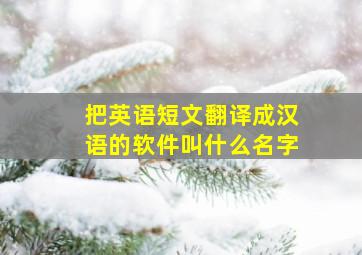 把英语短文翻译成汉语的软件叫什么名字