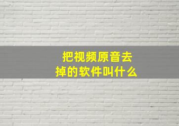 把视频原音去掉的软件叫什么