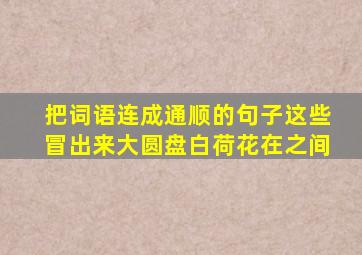 把词语连成通顺的句子这些冒出来大圆盘白荷花在之间