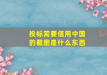 投标需要信用中国的截图是什么东西