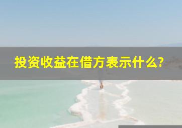 投资收益在借方表示什么?